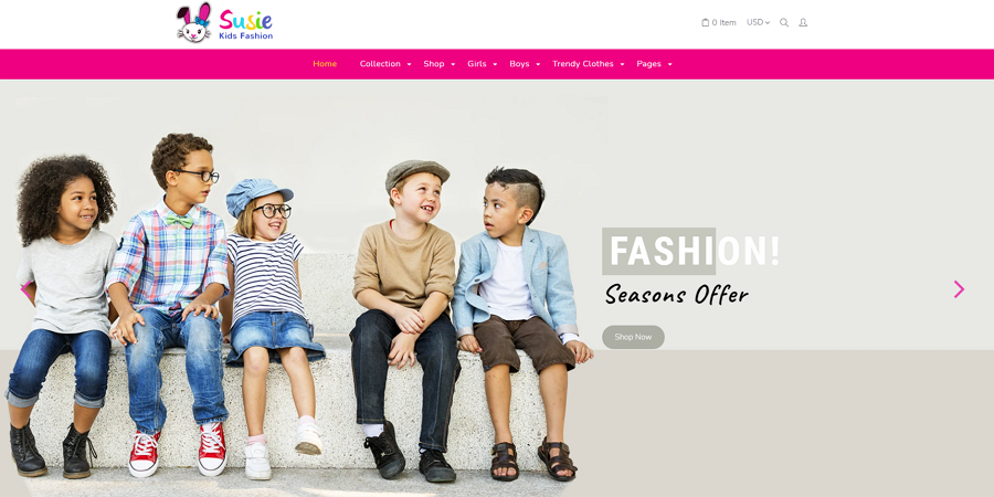 Susie Web Template b2b website design